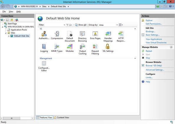 IIS Default Website